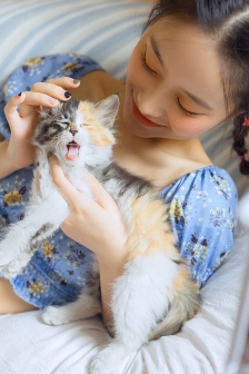 白洁高义小说